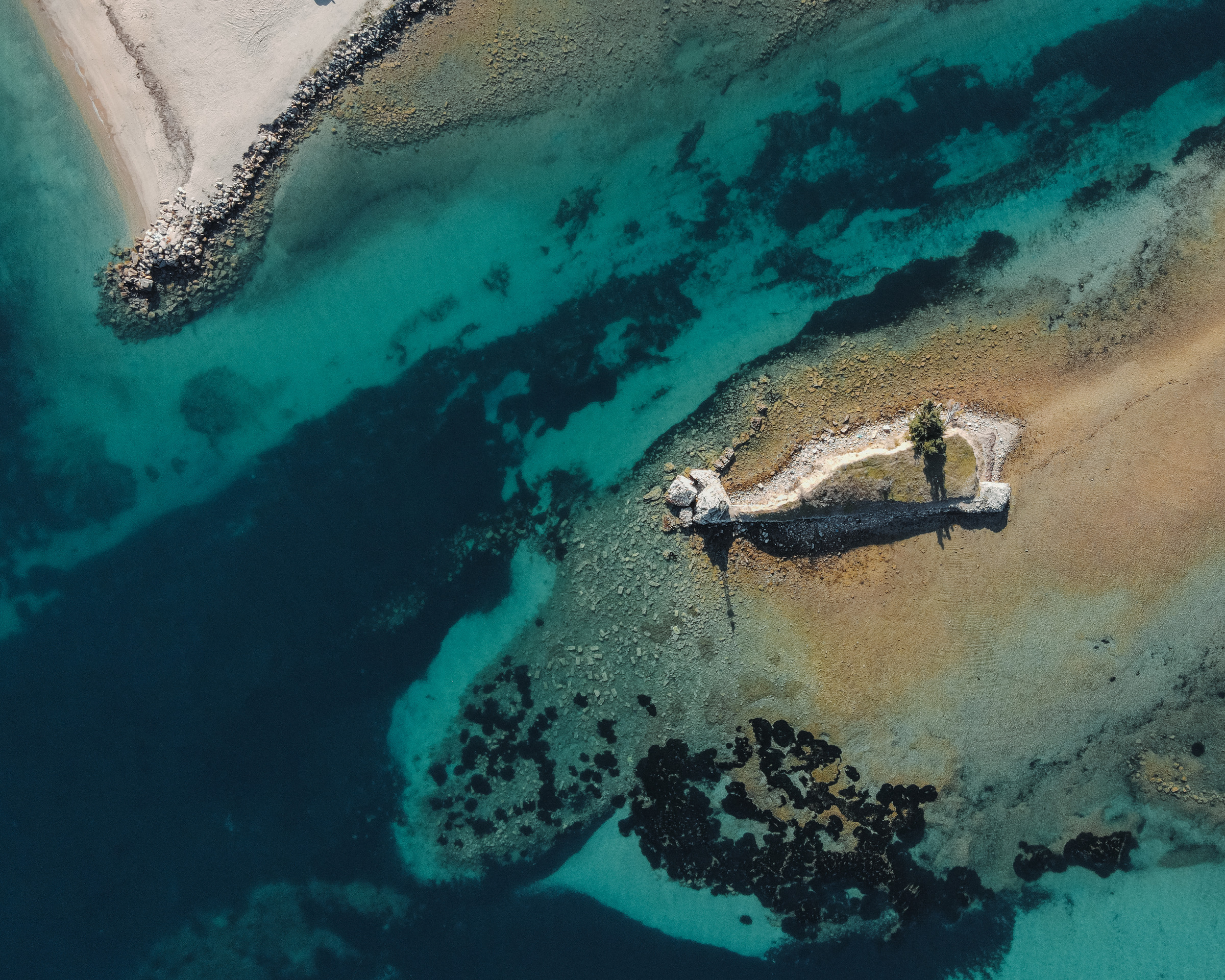 Παραλία Νέας Ποτίδαιας (ανατολικά) photo